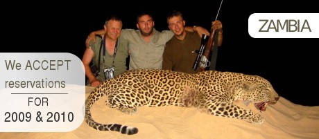 Leopard