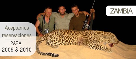 Leopard
