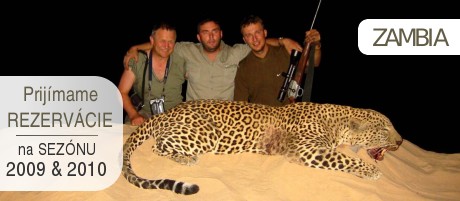 Leopard