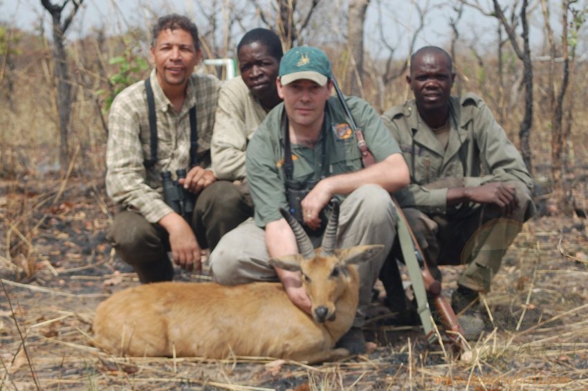 BOHOR REEDBUCK