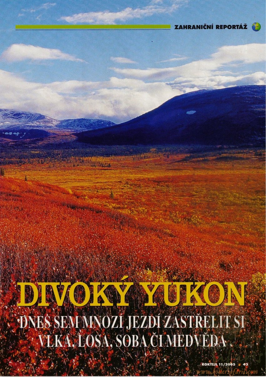 ČLÁNOK - KOKTEJL - DIVOKÝ YUKON