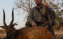 2006 - ZAMBIA BUSHBUCK