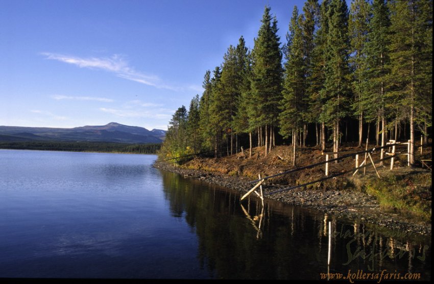 JAZERO FISH LAKE