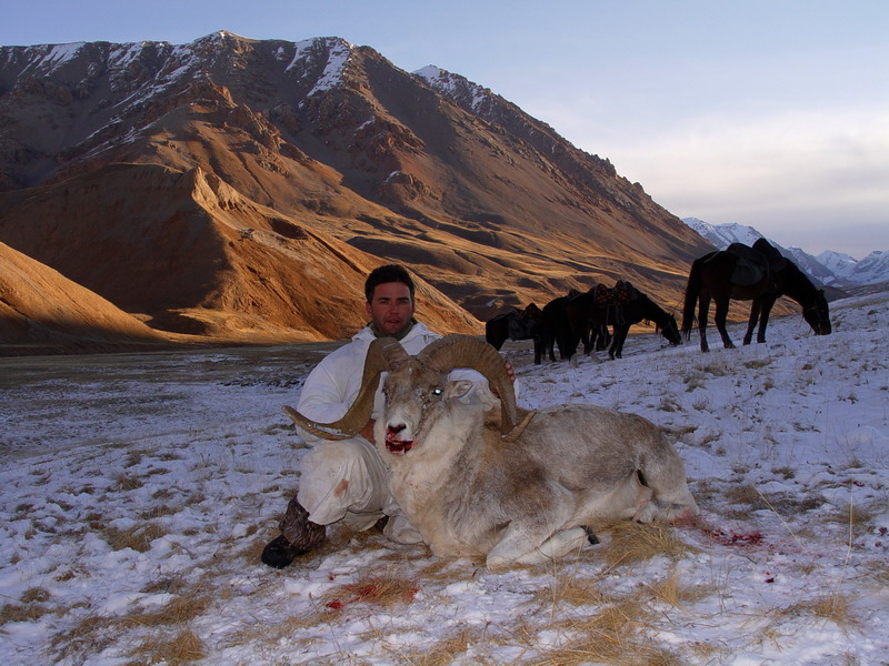 2006 - KIRGIZSKO TIAN ŠAN ARGALI