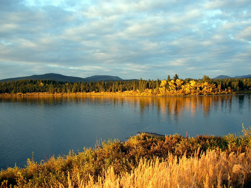 JAZERO FISH LAKE