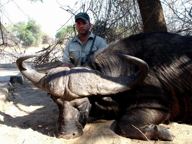 THE THIRD BIGGEST BUFFALO TAKEN IN ZAMBIA IN THE LAST 10 YEARS